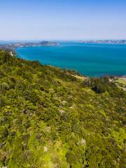 Waitakere Ranges