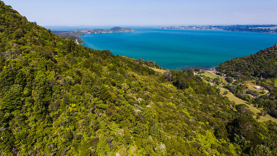 Waitakere Ranges