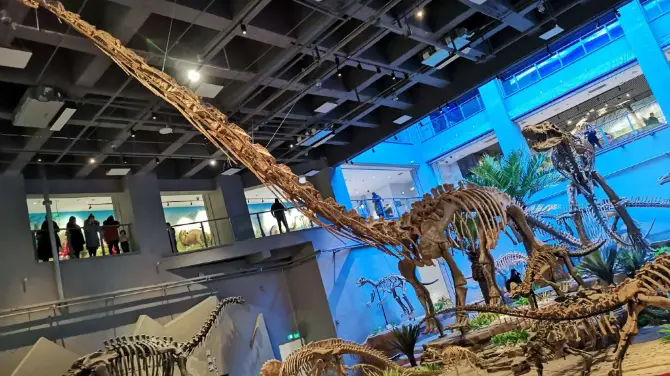 3_延吉恐竜博物館