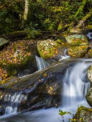 Unicoi State Park