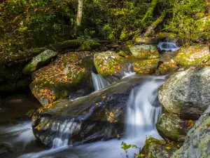 Unicoi State Park