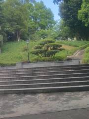 Dalingshan Park