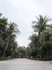Xiahu Park