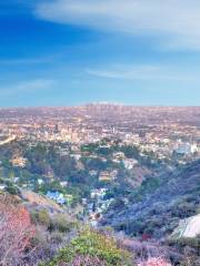 Runyon Canyon Park