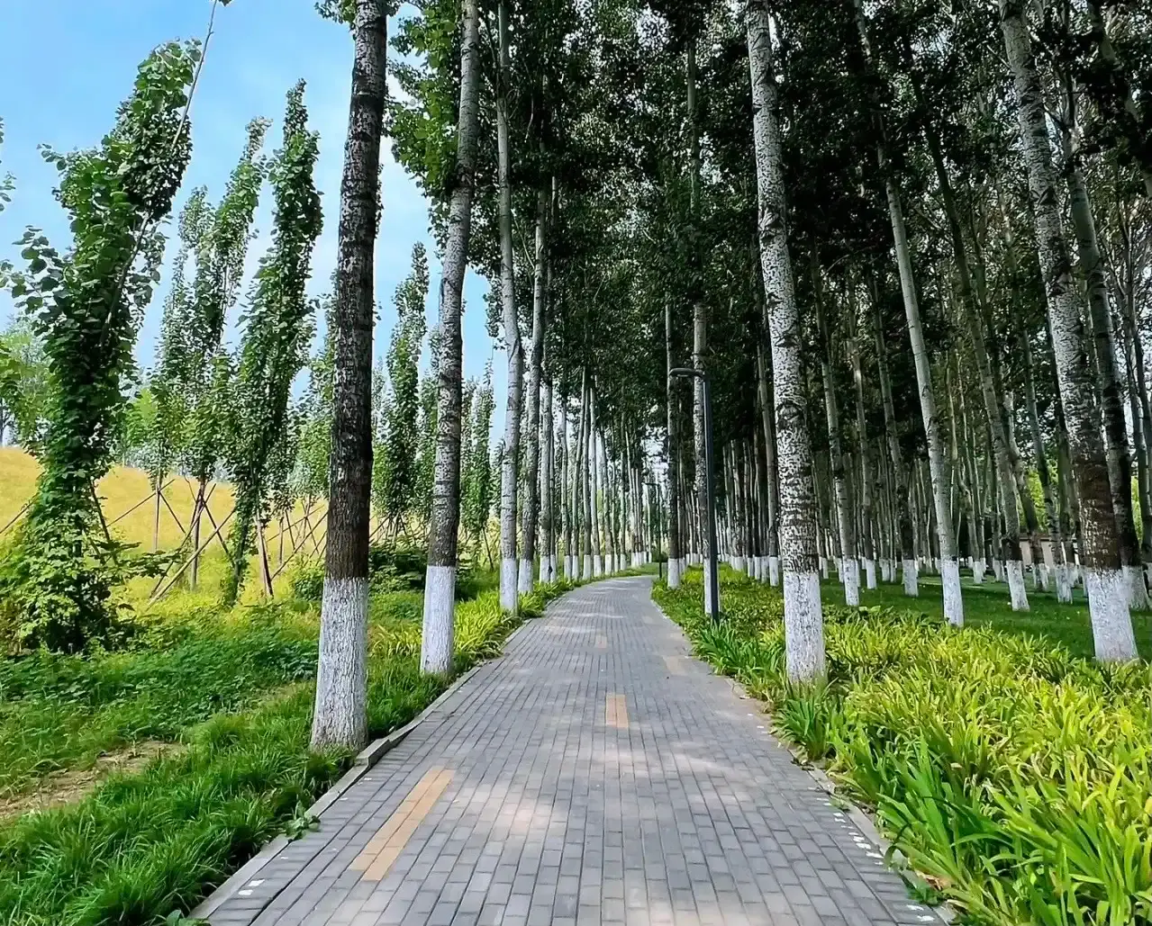 Hotels near Shangwufujin Park