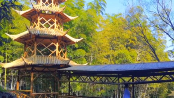 Haiyang Yunding Nature Tourist Scenic Spot