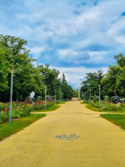 Park Rose Garden