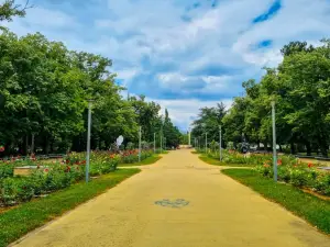 Park Rose Garden
