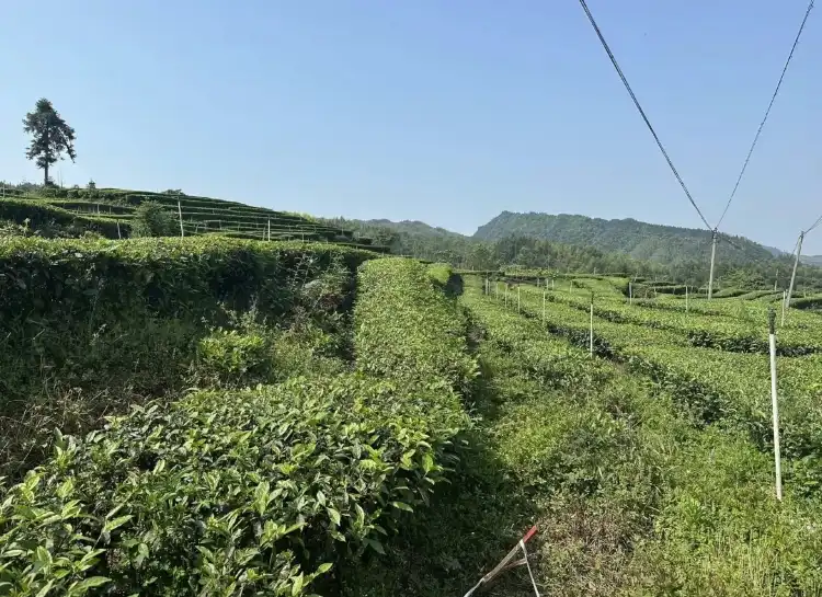 Hotels in Gongxian