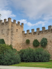 Medieval Wall of Alcúdia