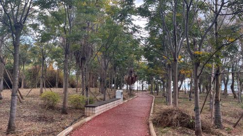 Xinhekou Lake Garden