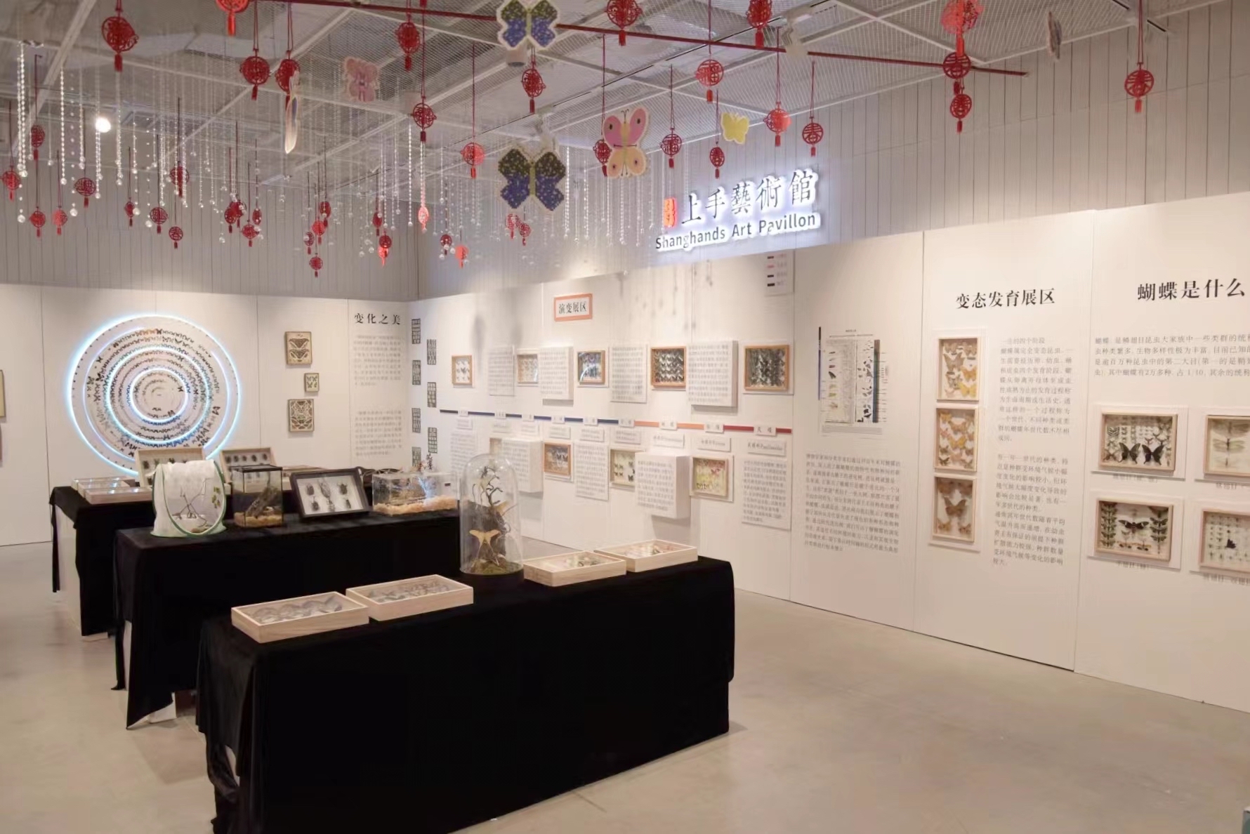 碟變昆蟲展 | 山東手造展示體驗中心