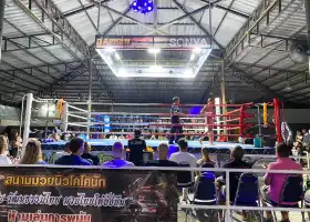 Muay Thai at Klong Dao Stadium