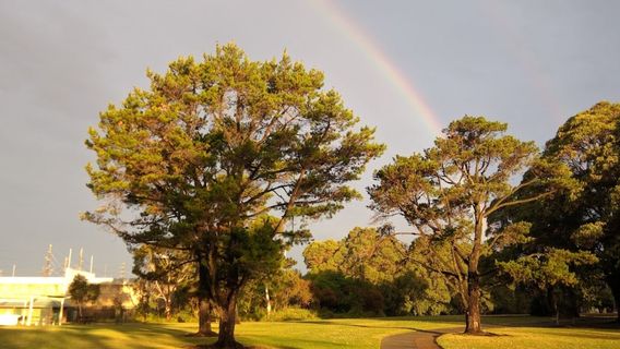 Cooper Street Reserve