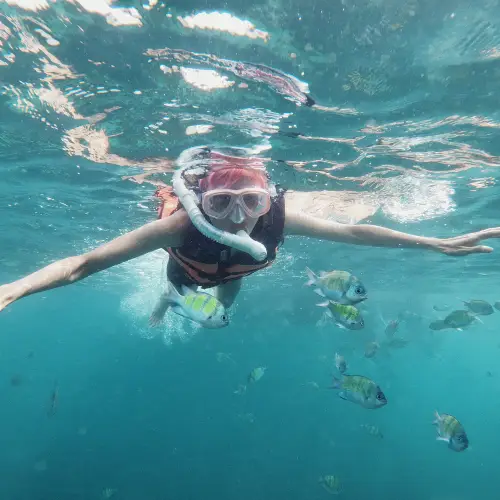 Snorkeling or Scuba Diving in Koh Samui