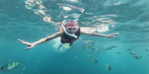 蘇梅島潛水