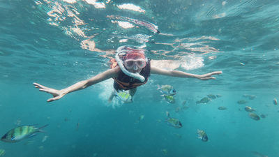 Snorkeling or Scuba Diving in Koh Samui
