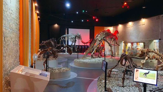 Музей пермских древностей