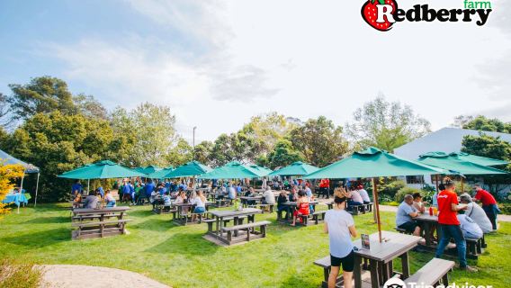 Redberry Farm