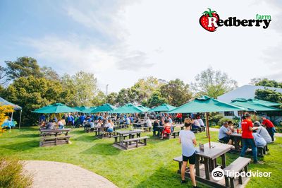 Redberry Farm
