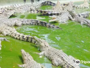 Davao Crocodile Park