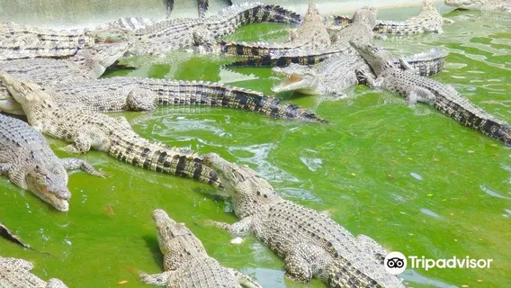 Davao Crocodile Park