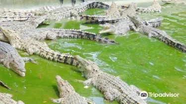 Davao Crocodile Park
