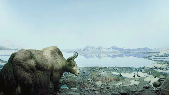 The Academy of Natural Sciences of Drexel University