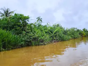 Bongawan Wetland