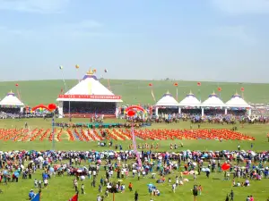 nei meng gu zi zhi qu chi feng shi a lu ke er qin qi na da mu hui chang