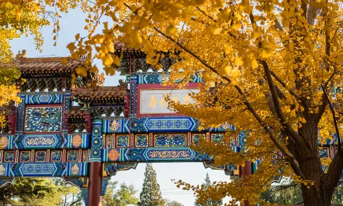 Lama Temple