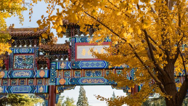 天壇公園+雍和宮一日遊【含天壇聯票.可選五環內上門接】