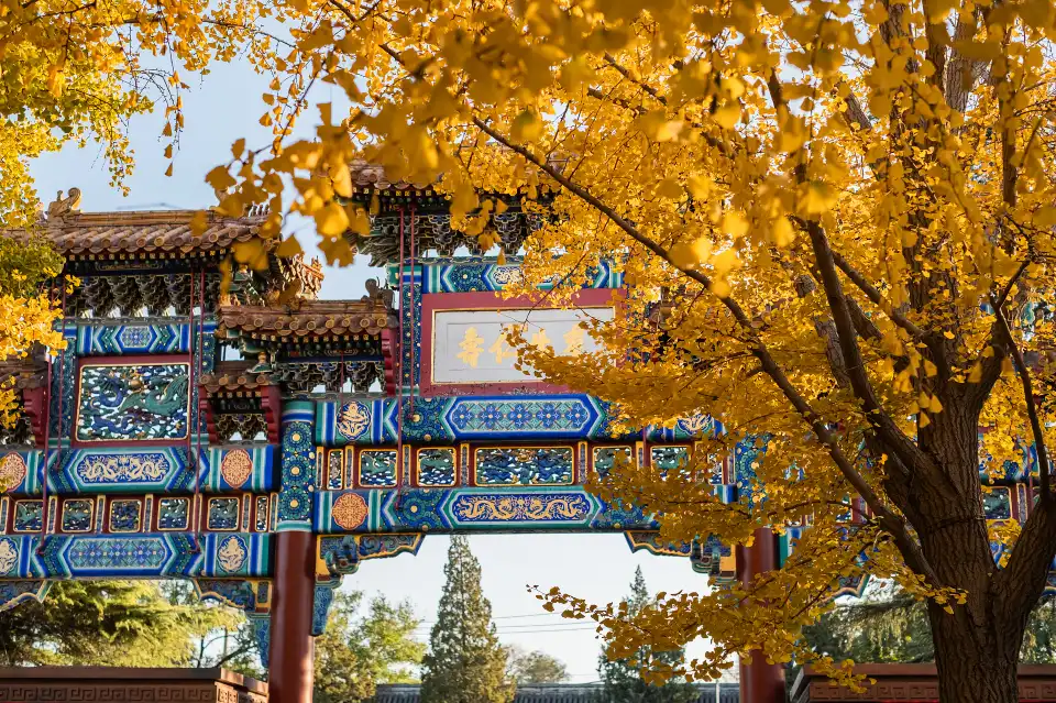 5_Lama Temple