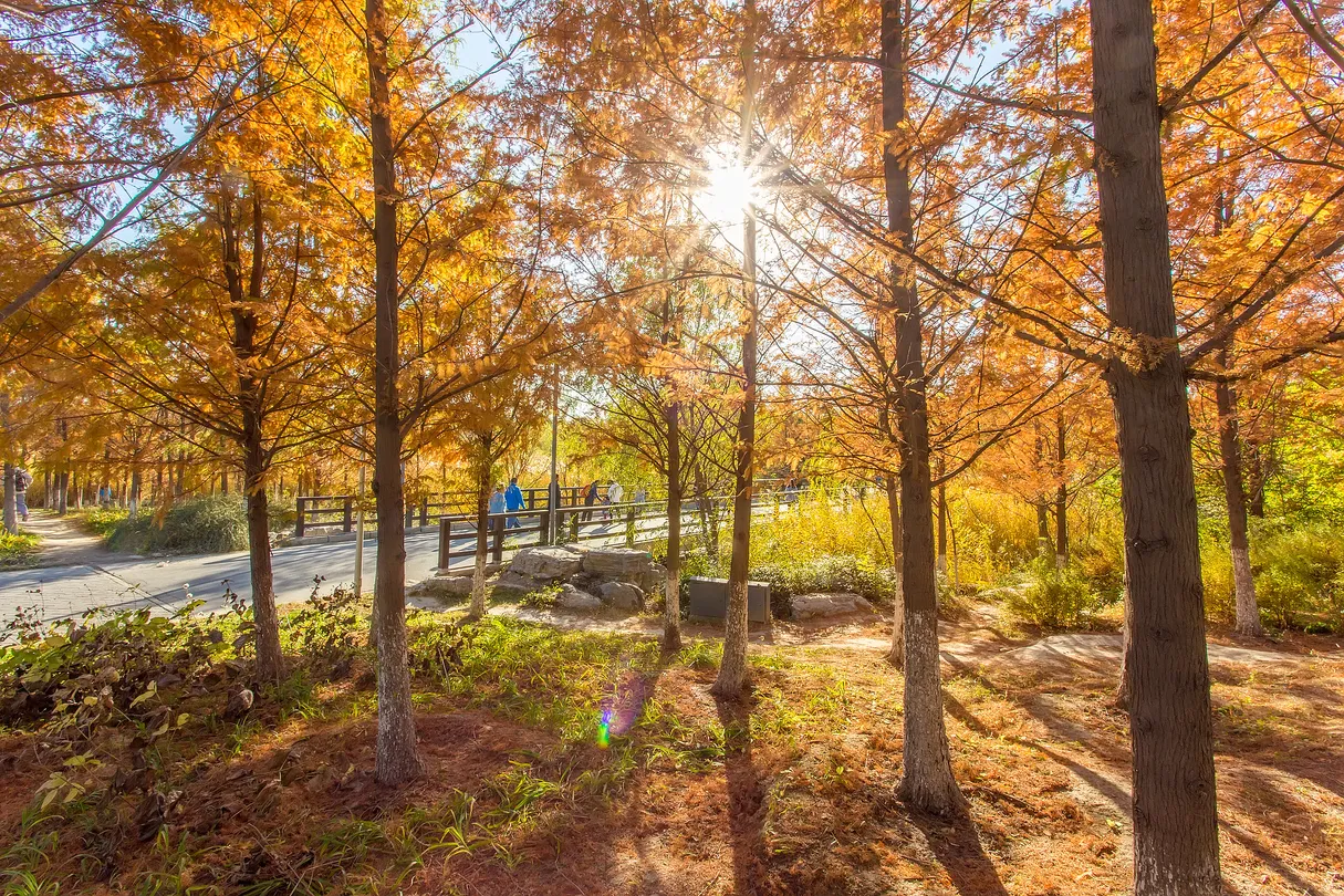 2_奧林匹克森林公園