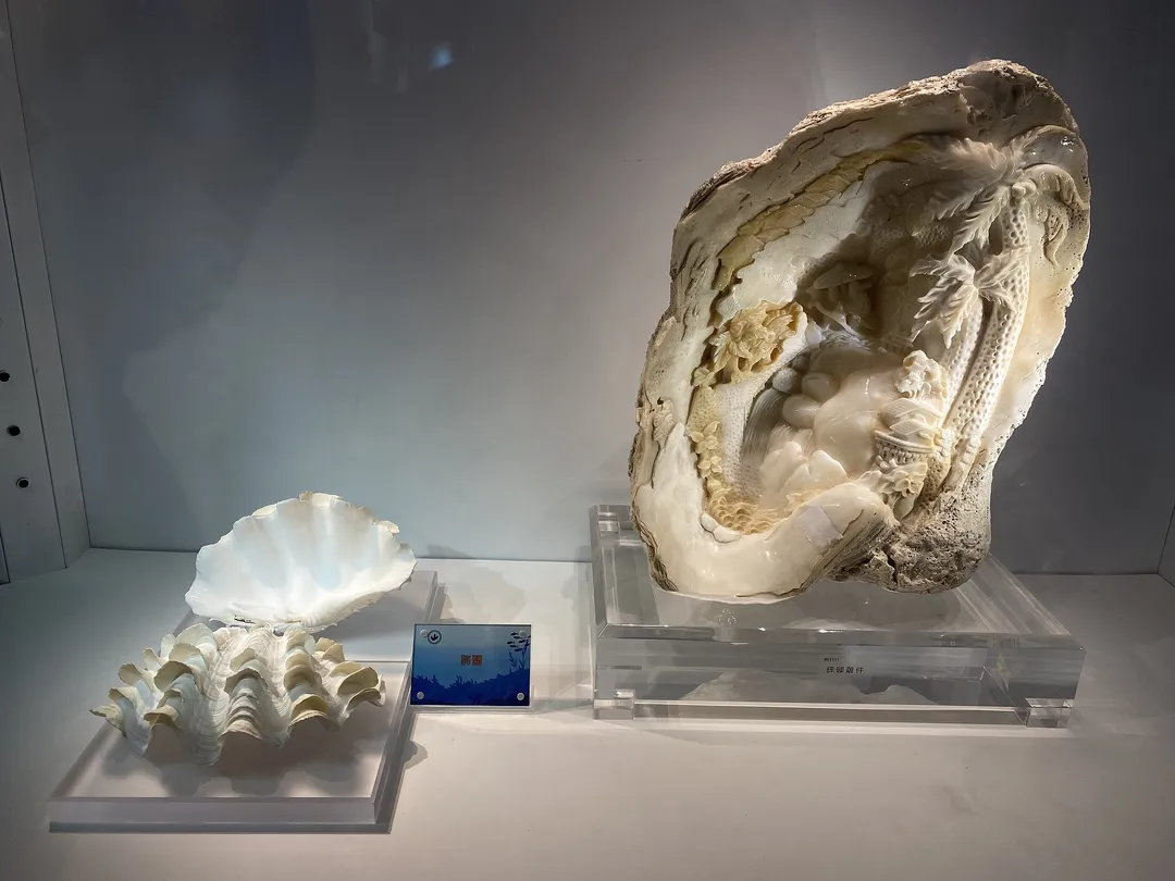 5_The Geological Museum of China