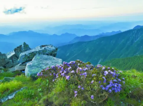 สวนสาธารณะแห่งชาติไทเป่ยซาน