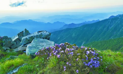 The Mount Taibai National Forest Park
