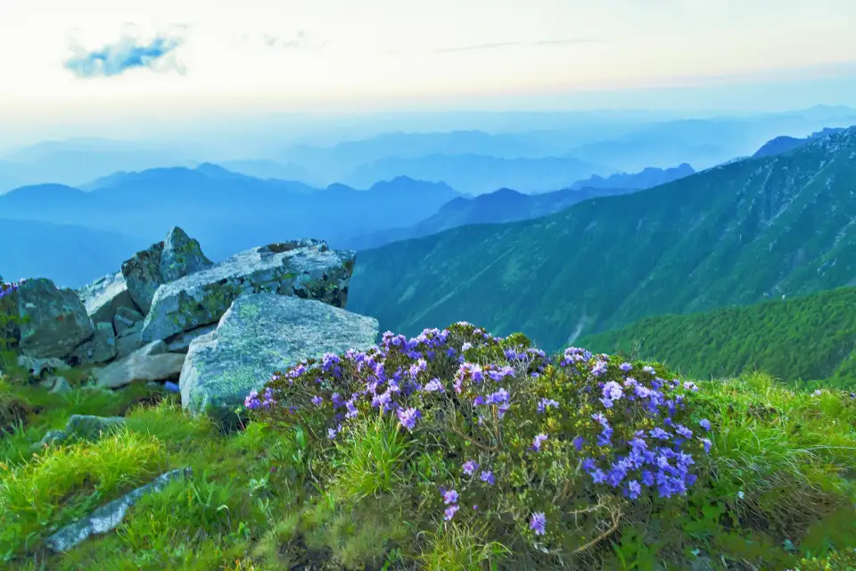 5_The Mount Taibai National Forest Park
