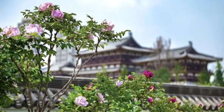 隋唐洛陽城九洲池