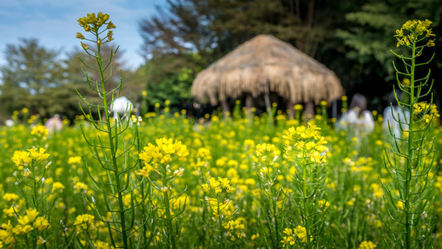 Xiamen Filming Locations in Spring