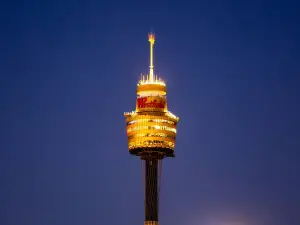Top 8 Night Attractions in New South Wales
