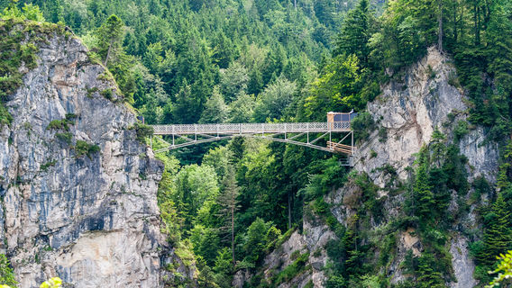 Schwangau
