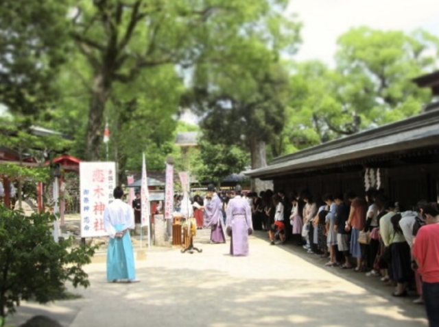 Koiki Shrine Love Knot Festival | Chikugo