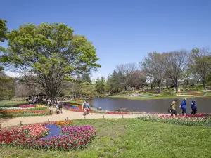 昭和紀念公園