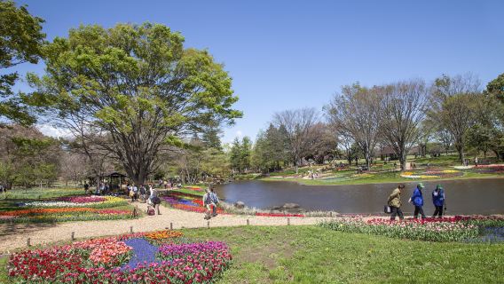 Showa Kinen National Park