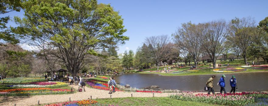 Showa Kinen National Park