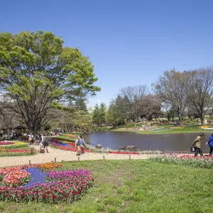 國營昭和紀念公園