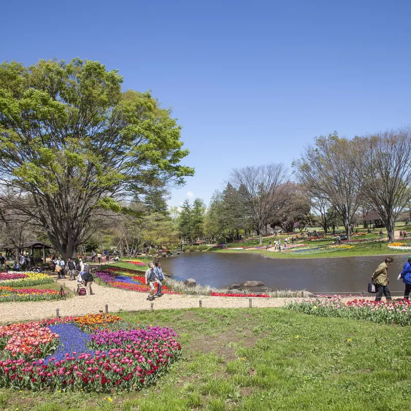 國營昭和紀念公園
