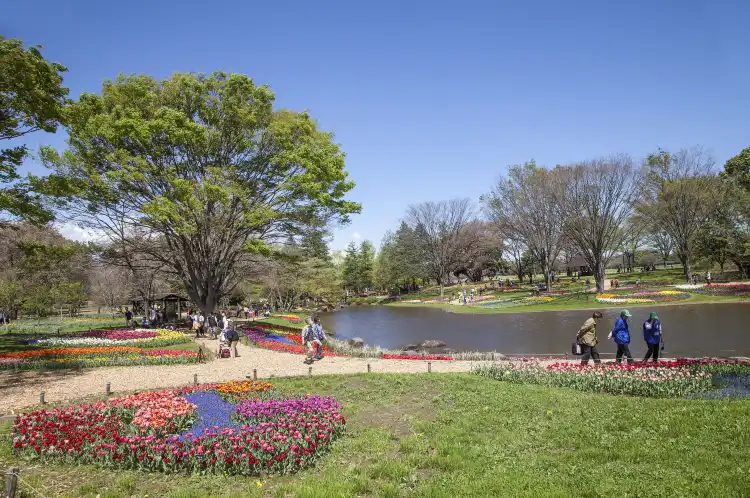 Các khách sạn ở Tachikawa