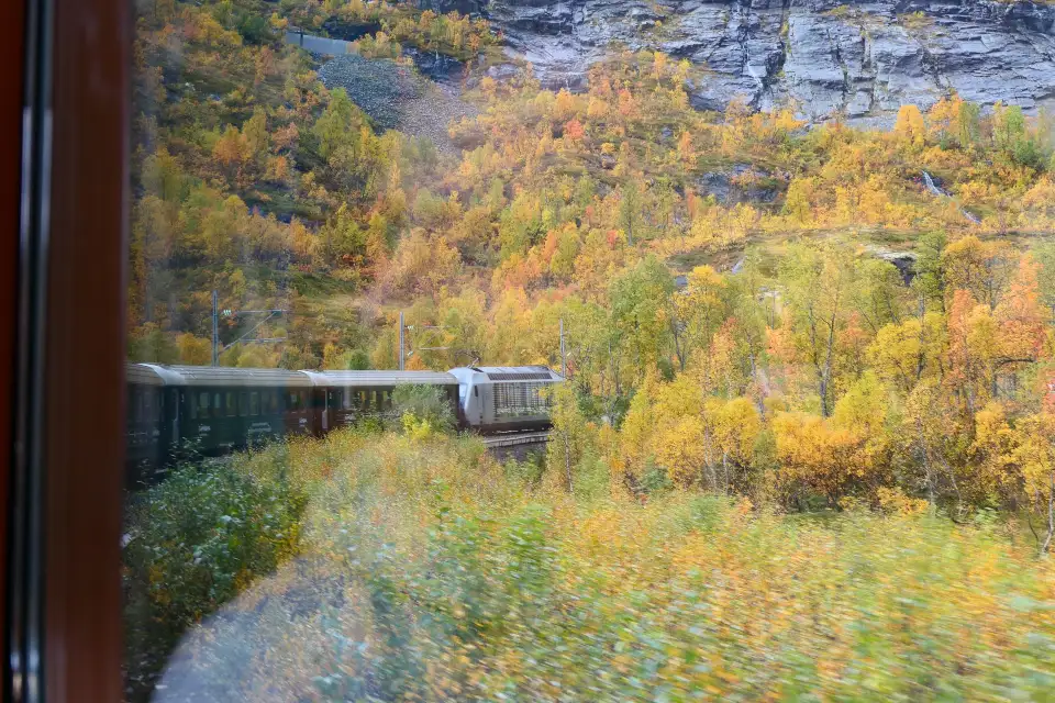 4_Flam Train